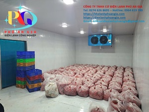 Thi Công Kho Lạnh