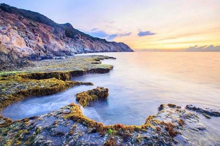 Tour du lịch Ninh Thuận