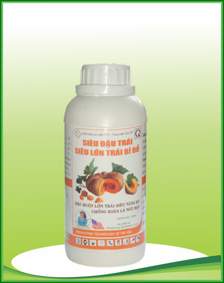 Siêu đậu trái siêu lớn trái bí đỏ
