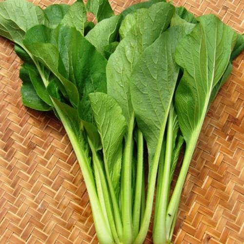 Cải xanh
