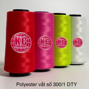 Chỉ DTY 300/1