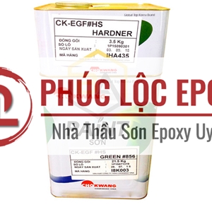 Sơn Epoxy Gia Cường Thuỷ Tinh