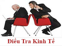 Điều tra kinh tế