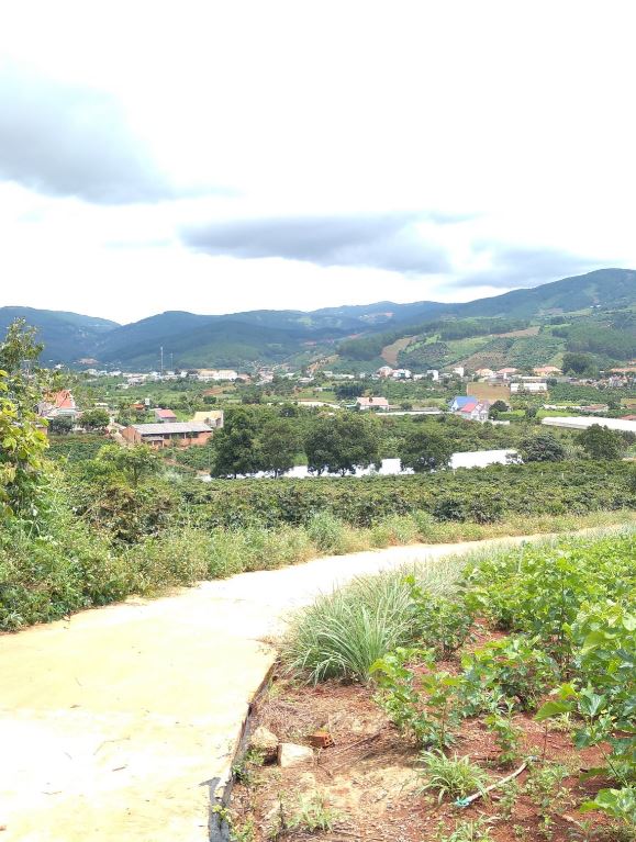 Cho thuê trang trại