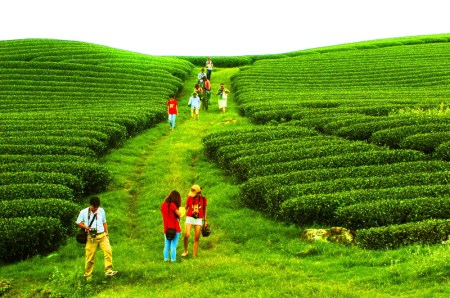 Du lịch Sơn La