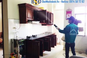 Dịch vụ diệt côn trùng