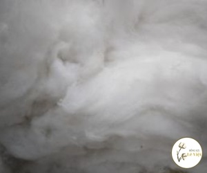 Bông Tái Chế Từ Vải