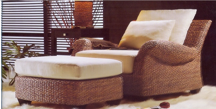 Nội thất lục bình