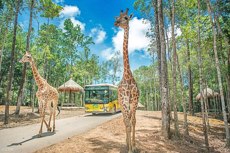 Tour du lịch Phú Quốc