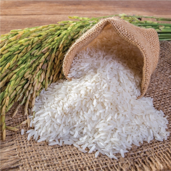 Gạo