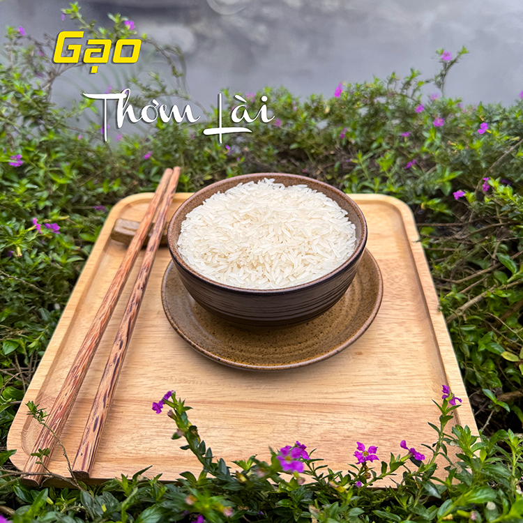 Gạo Thơm Lài