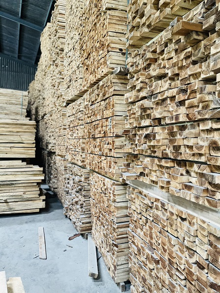 Gỗ tràm sấy