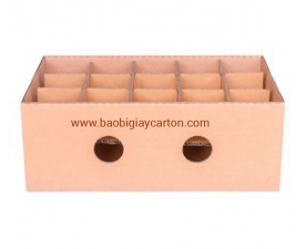Thùng giấy carton