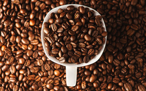 Hương cà phê Moka