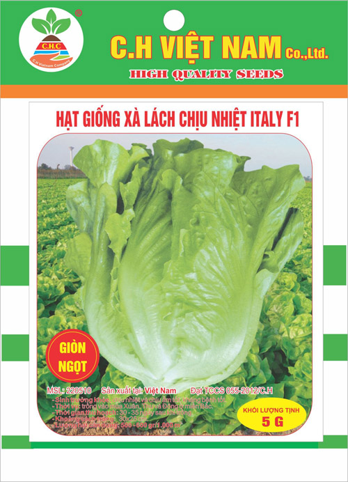Hạt giống xà lách chịu nhiệt Italy F1