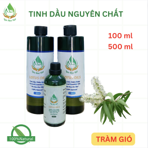 Tinh dầu tràm gió
