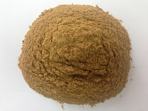 Bột Cá Biển Tại TP.HCM