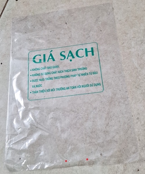 Túi PE giá sạch in