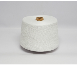Sợi Polyester 20/6