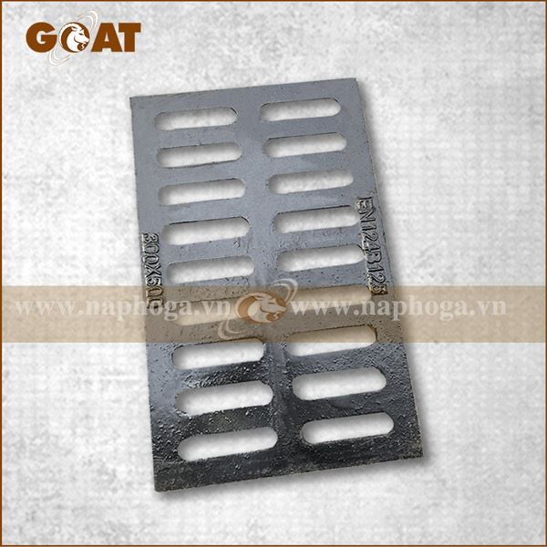 Song chắn rác gang cầu