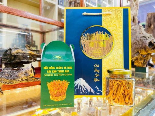 Nấm đông trùng hạ thảo 10g