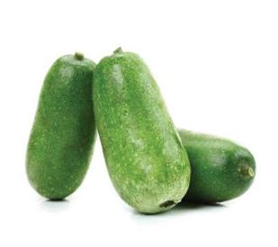 Bí đao