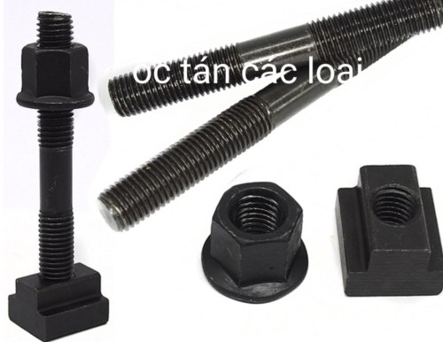 ốc tán các loại