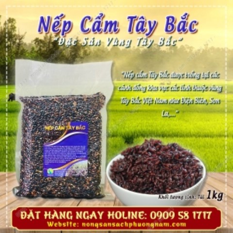 Nếp cẩm Tây Bắc