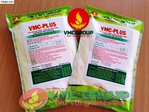 VMC Plus Tạo Vị Ngọt