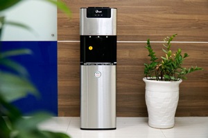 Cây Nóng Lạnh Bình Âm
