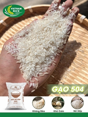 Gạo 504