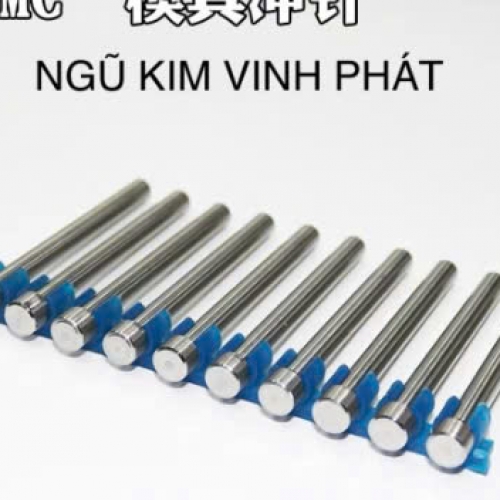 Ty đục lỗ