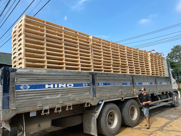 Pallet gỗ thông