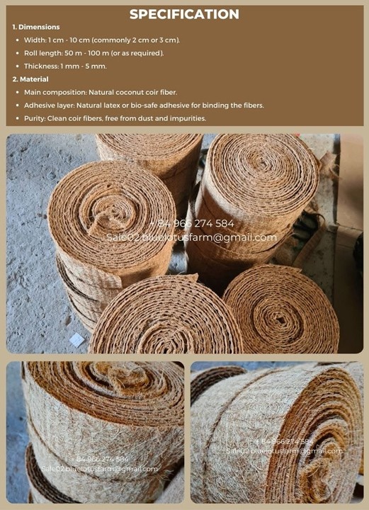 Băng xơ dừa