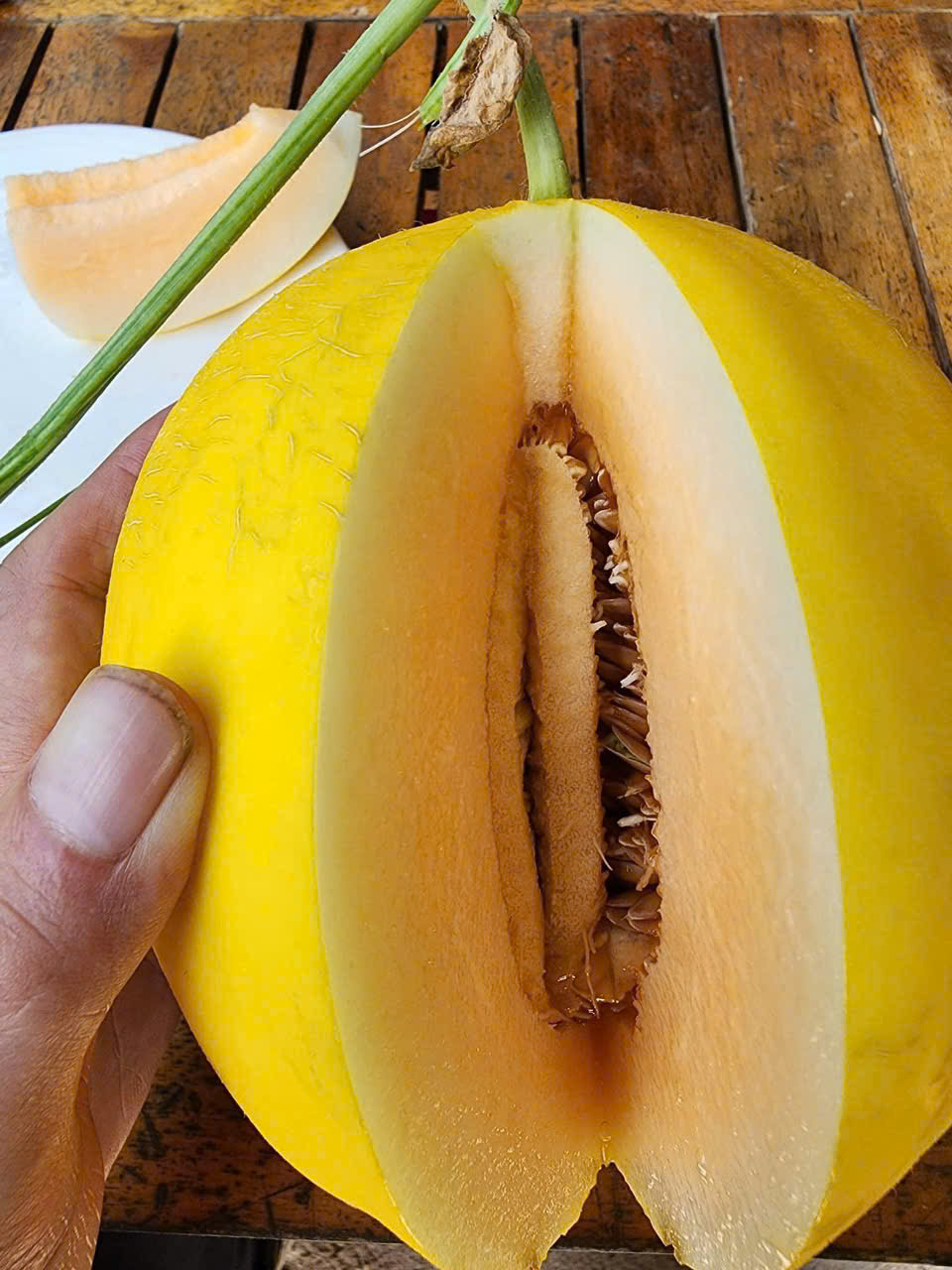 Dưa vàng