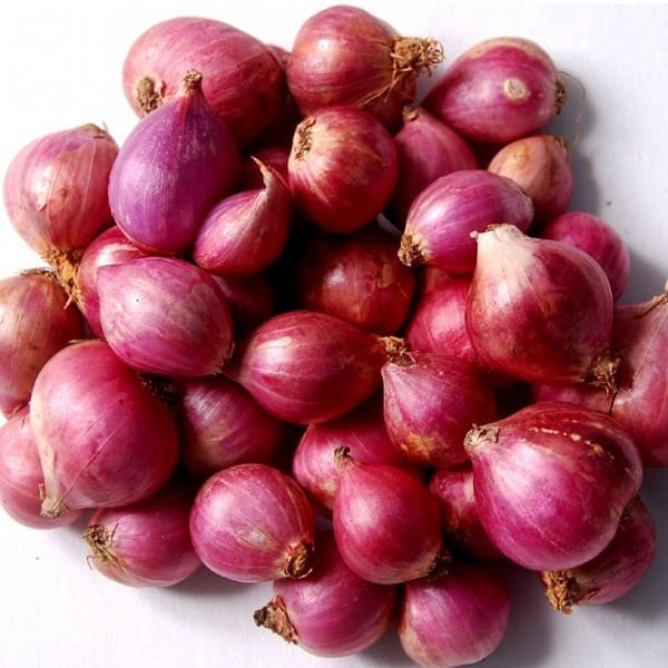 Hành tím