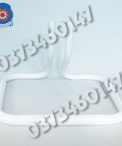 Ống chân quỳ B4