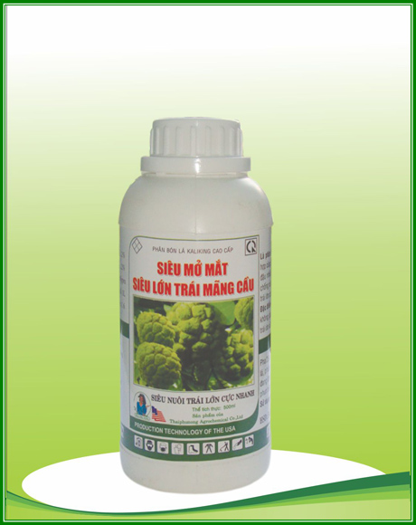 Siêu mở mắt siêu lớn trái mãng cầu