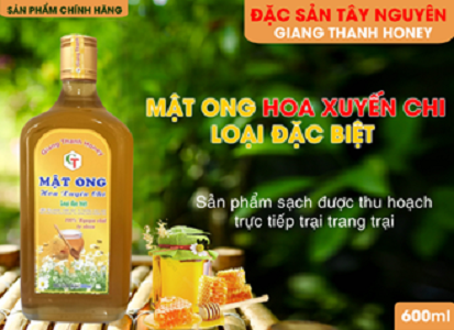 Mật Ong Hoa Xuyến Chi