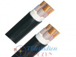 Dây cáp điện Trần Phú