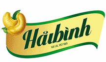 Hai Binh Gia Lai Cashew Nuts - Hai Binh Gia Lai Company logo