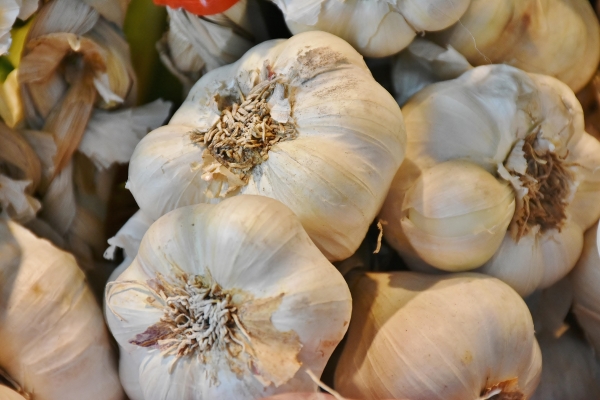 Dried garlic