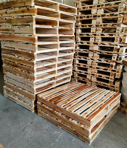 Pallet gỗ thông