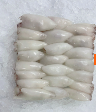 Mực ống