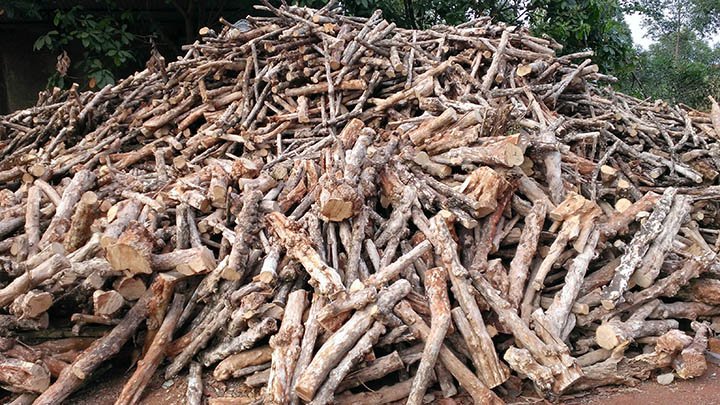 Củi rác