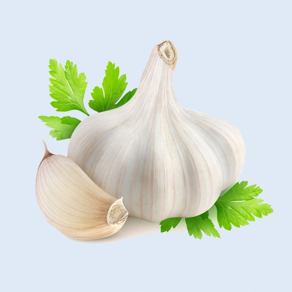 Tỏi