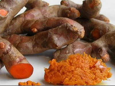 Nghệ vàng