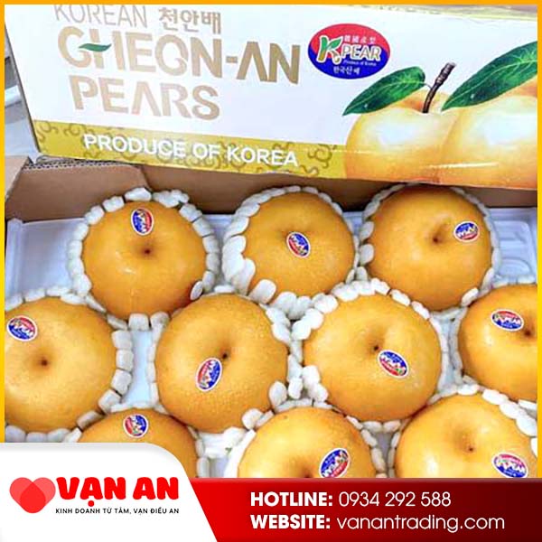 Lê nâu Hàn Quốc
