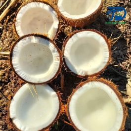 Cơm dừa khô