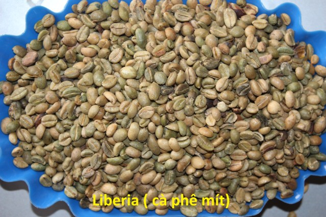Cà phê Mít